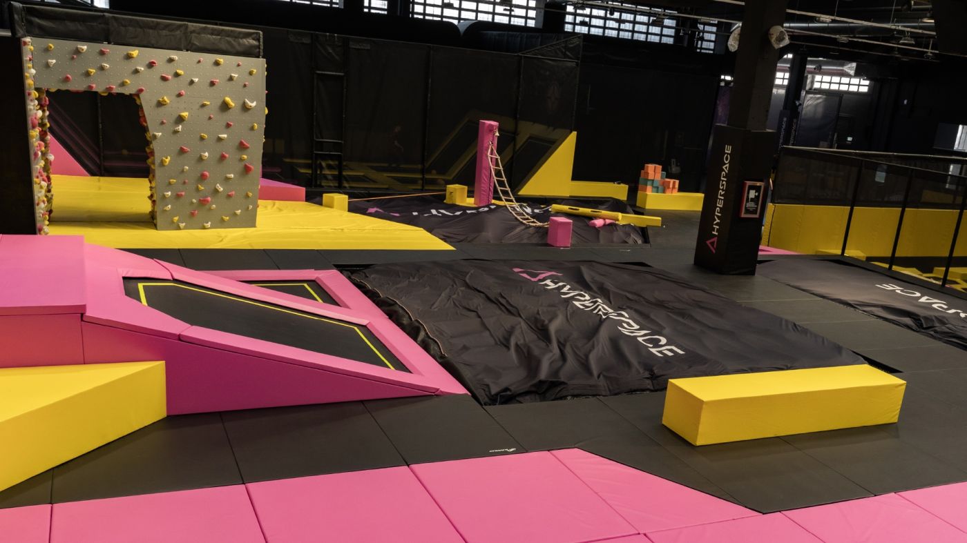 Aliquam rhoncus lacinia dignissim