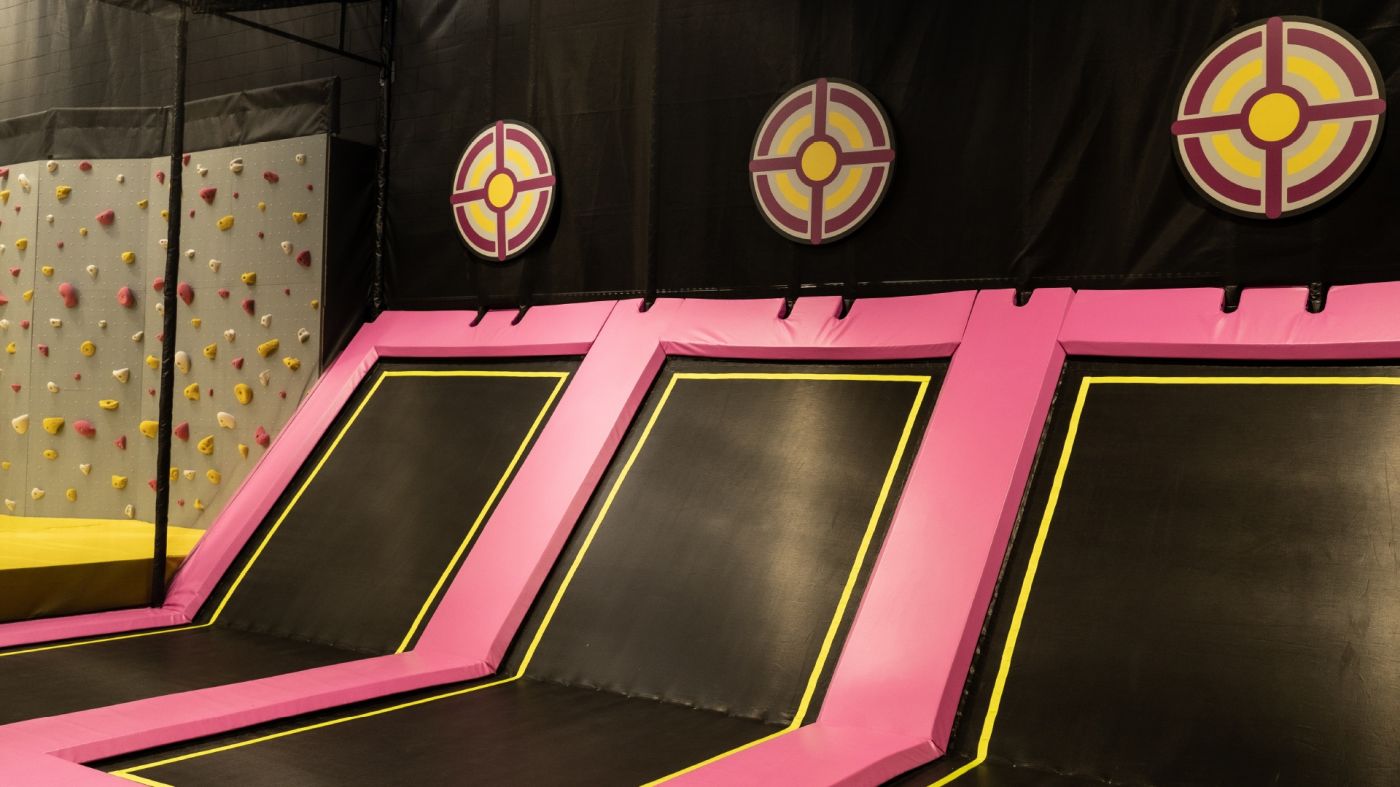 Aliquam rhoncus lacinia dignissim