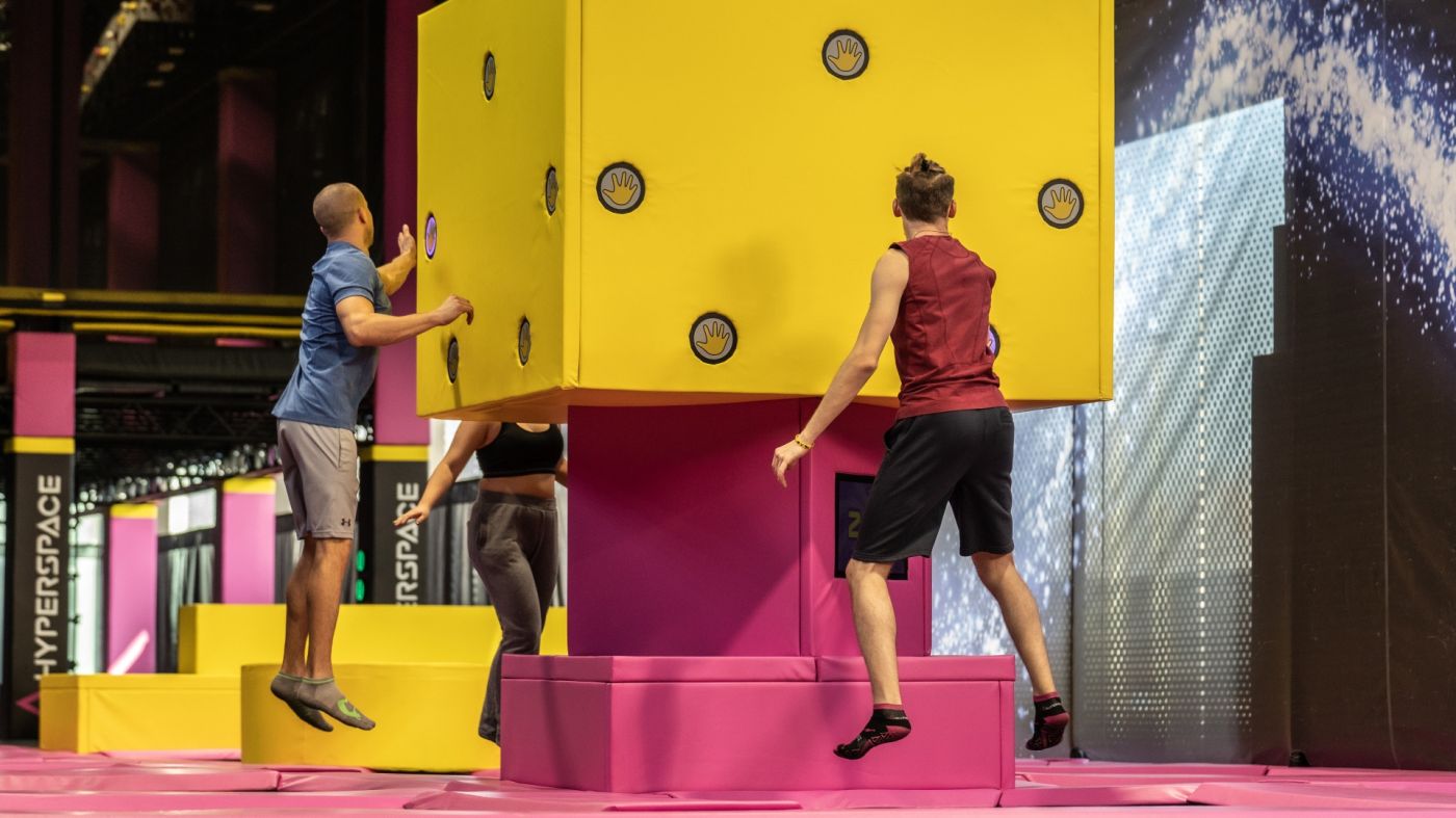 Aliquam rhoncus lacinia dignissim