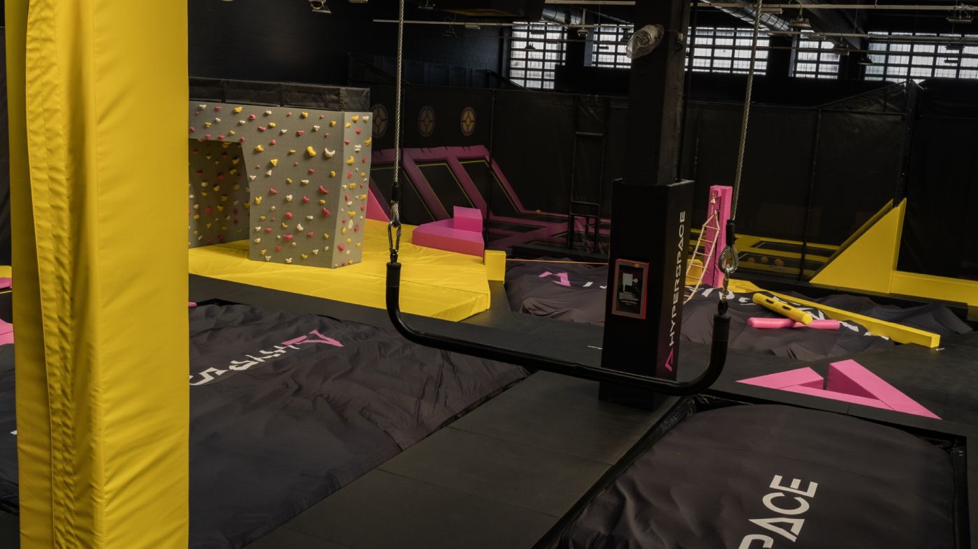 Aliquam rhoncus lacinia dignissim